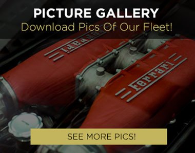 Las Vegas Exotic Car Rental - Picture Gallery